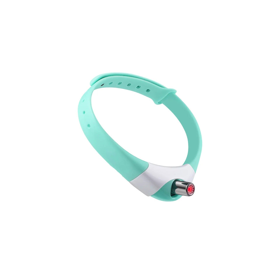 Cat Collar Laser Toy