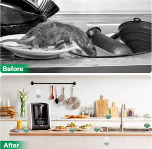 Peppermint Oil Rat Repellent Balls for Home | Pack of 24