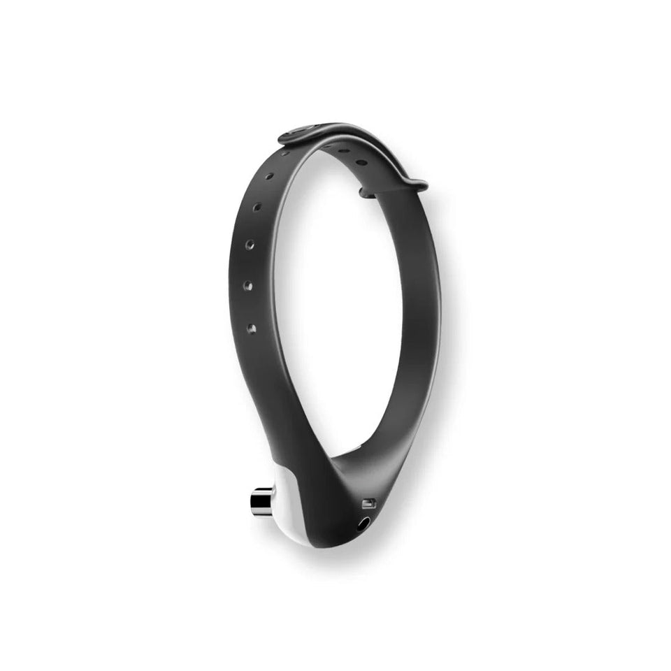 Cat Collar Laser Toy